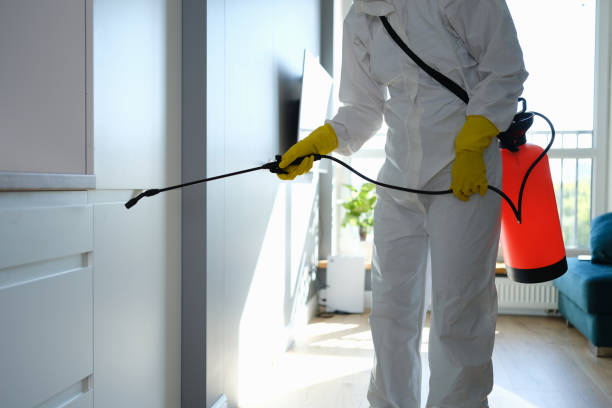 Office Mold Removal Services in Pea Ridge, WV